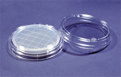 Tgk 東京硝子器械 Trywinz 卵黄加マンニット食塩培地 Pt4025 40入