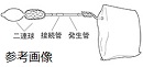 ガステック 硫化水素発生管 HSC-21L 10本入