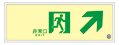 日本緑十字社 高輝度蓄光式誘導標識 B級 SUC-K010