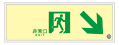 【販売終了】日本緑十字社 高輝度蓄光式誘導標識 B級 SUC-K020