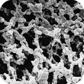 メルク ミリポア MF-ミリポア メンブレンフィルター 100枚 AABP02500