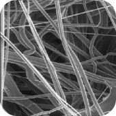 メルク ミリポア ポリプロピレンフィルター 100枚 AN3H04700