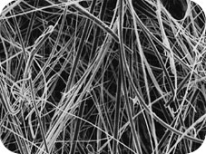 メルク ミリポア グラスファイバーフィルター 50枚 APFF09050