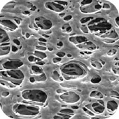 メルク ミリポア ミリポアエクスプレスプラスメンブレンフィルター 50枚 GPWP14250