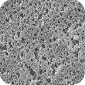 メルク ミリポア ナイロンメンブレンフィルター 100枚 HNWP04700