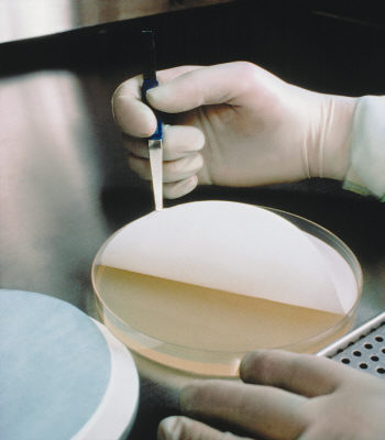 メルク ミリポア イモビロン-Ny+メンブレン、チャージドナイロン 1巻 INYC00010