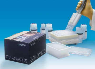 メルク ミリポア モンタージュプラスミドミニプレップ 96Kit 4個 LSKP09604