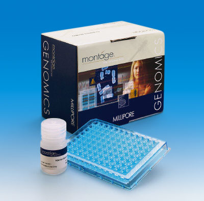 メルク ミリポア モンタージュSEQ96シークエンシング反応クリーンアップキット 24個 LSKS09624