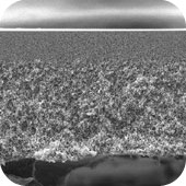 メルク ミリポア バイオマックス 10枚 PBGC04310