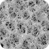 メルク ミリポア PVCメンブレンフィルター 100枚 PVC504700