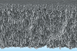 メルク ミリポア ろ過膜 アミコンYM100 63.5mm 14432