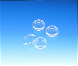 松浪硝子工業 ガラスボトムディッシュ 30個 D11134H